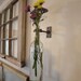 Wine Bottle Wall Vase - Clear