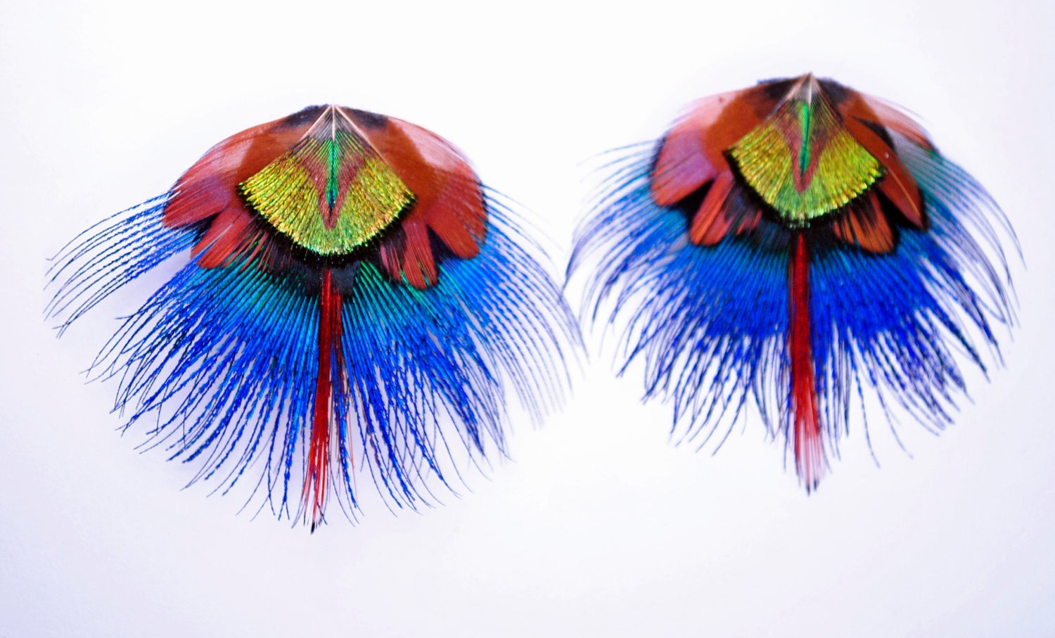 Blue Feather Post Earrings - Peacock Feathers Fashion Earrings Jewelry