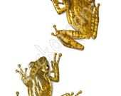 Limited edition tree frog print (PL0203)