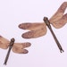Pair of stoneware pottery dragonflies (L&S)