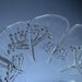 Dansk Floriform Clear Glass Dessert or Fruit Bowls - Set of 6 (Italy)