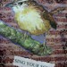 OOAK Art Collage and Ink Card "Sing Your Song"