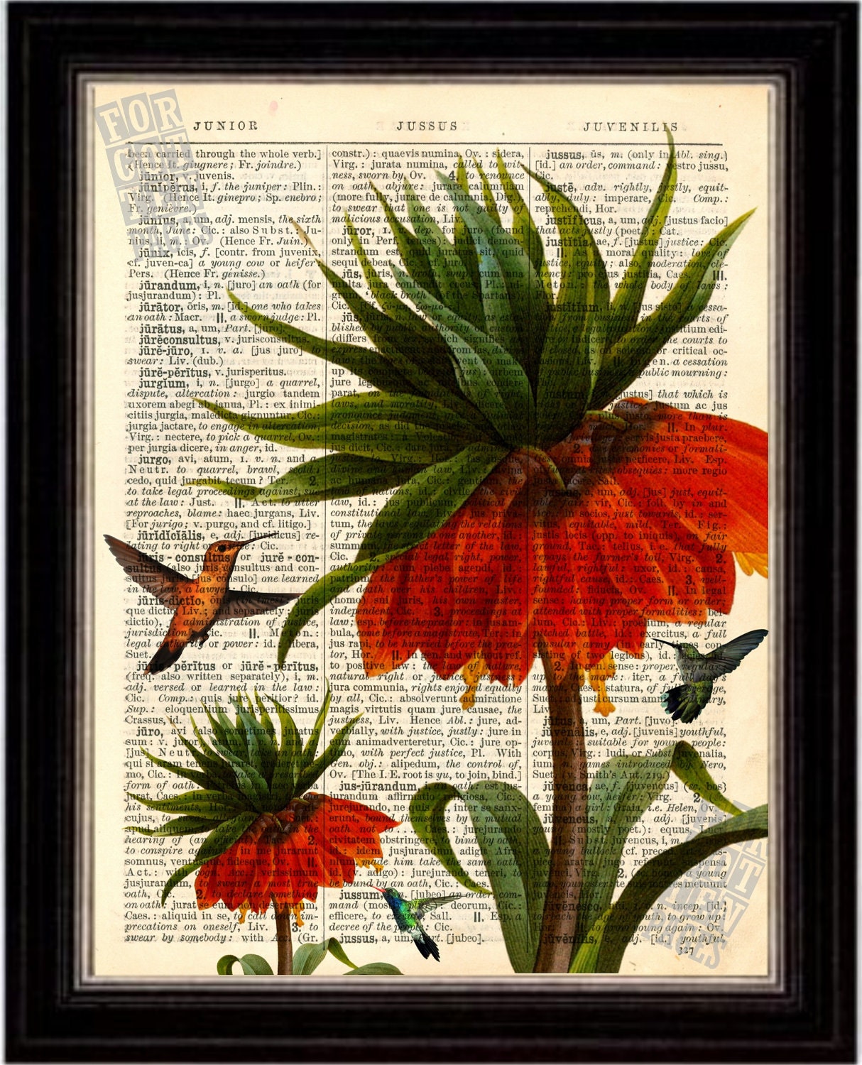 Hummingbird with red flowers  Print on Upcycled 1896 Latin English Dictionary Page
