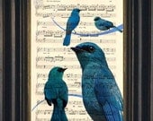 Bird Print - Blue Bird Print on recycled  Vintage Sheet Music Page - ForgottenPages