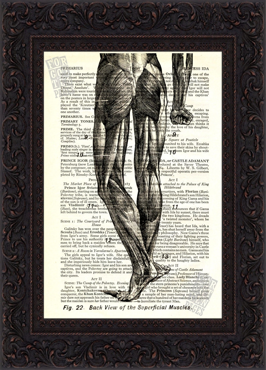 Part  legs Back view of Human Muscles Print on upcycled Vintage Page mixed media digital print art