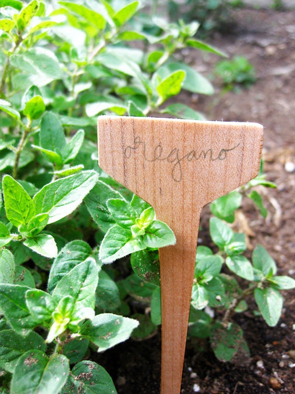 Herb Markers - set of 6 Salvaged Wood Reclaimed Eco plant labels blank or custom
