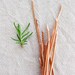 Herb Markers Set of 5 Hammered Textured Recycled Copper Electrical Wire Custom Stamping