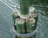 Water Photograph, Nature, Harbor, Unique Photo 8" x 10"