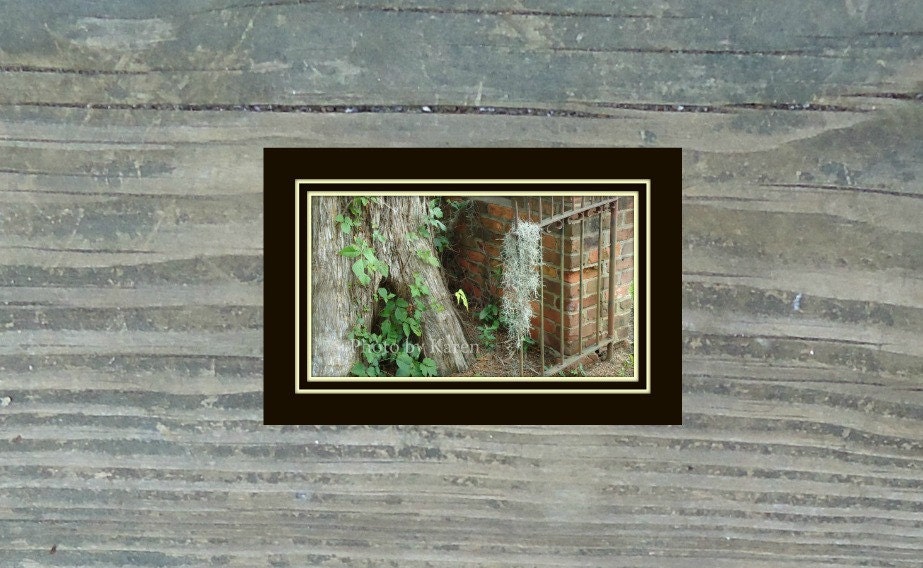 Lost Moss, Outdoor Wrought Iron Gate Photo