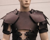 Dark Talon Leather Armor Chest Back & Shoulders with border