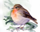 Bird painting, Red Robin Fine Art print from original watercolor, bird-lovers, red, orange, brown colored wall art