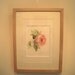 Tender Pink Rose Painting, Flower Fine Art print from original watercolor, nostalgic chic - wedding decor, mother's day