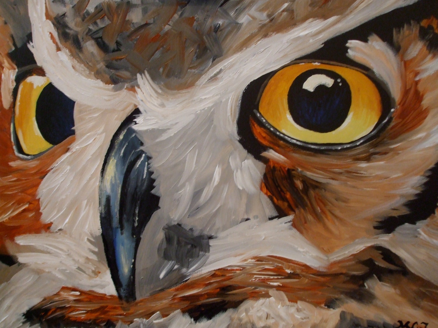 Owl Eyes Art