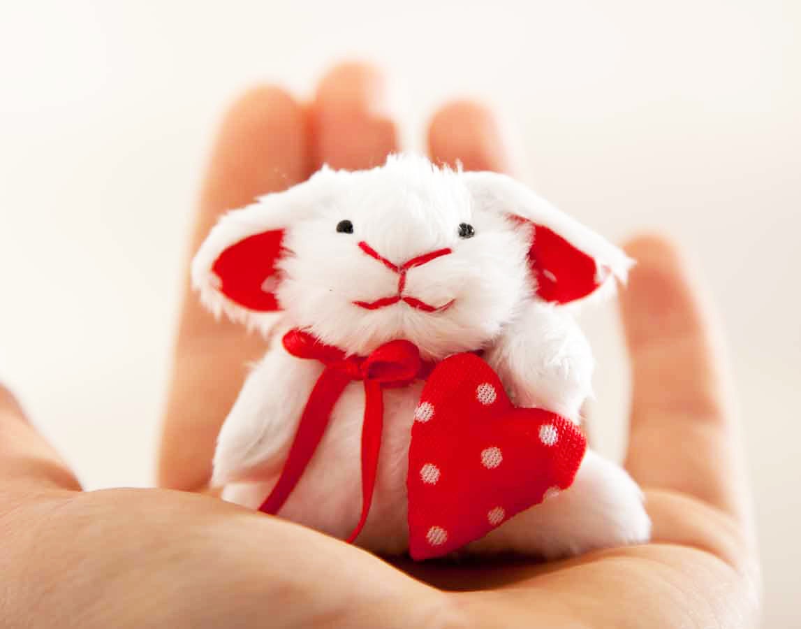 Little bunny, Miniature bunny rabbit handmade with a heart in a gift box, Cute bunny, White Rabbit, Heart - JuliaWine