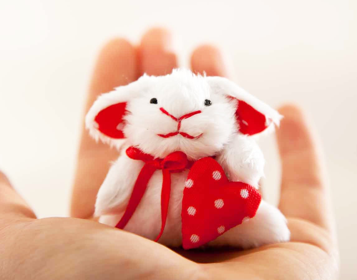 Easter Bunny with a heart in a gift box