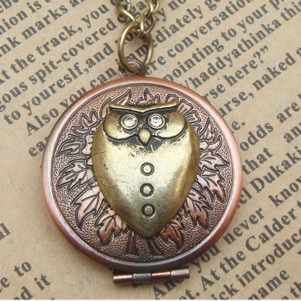Steampunk  Owl Locket Necklace Vintage Style Original Design