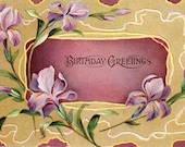 Birthday Postcard with Irises Antique Embossed 1908 Italian