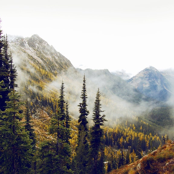 Fall Color Change - Fall Hiking - 8x8 Hiking Photo - Pacific Crest Trail