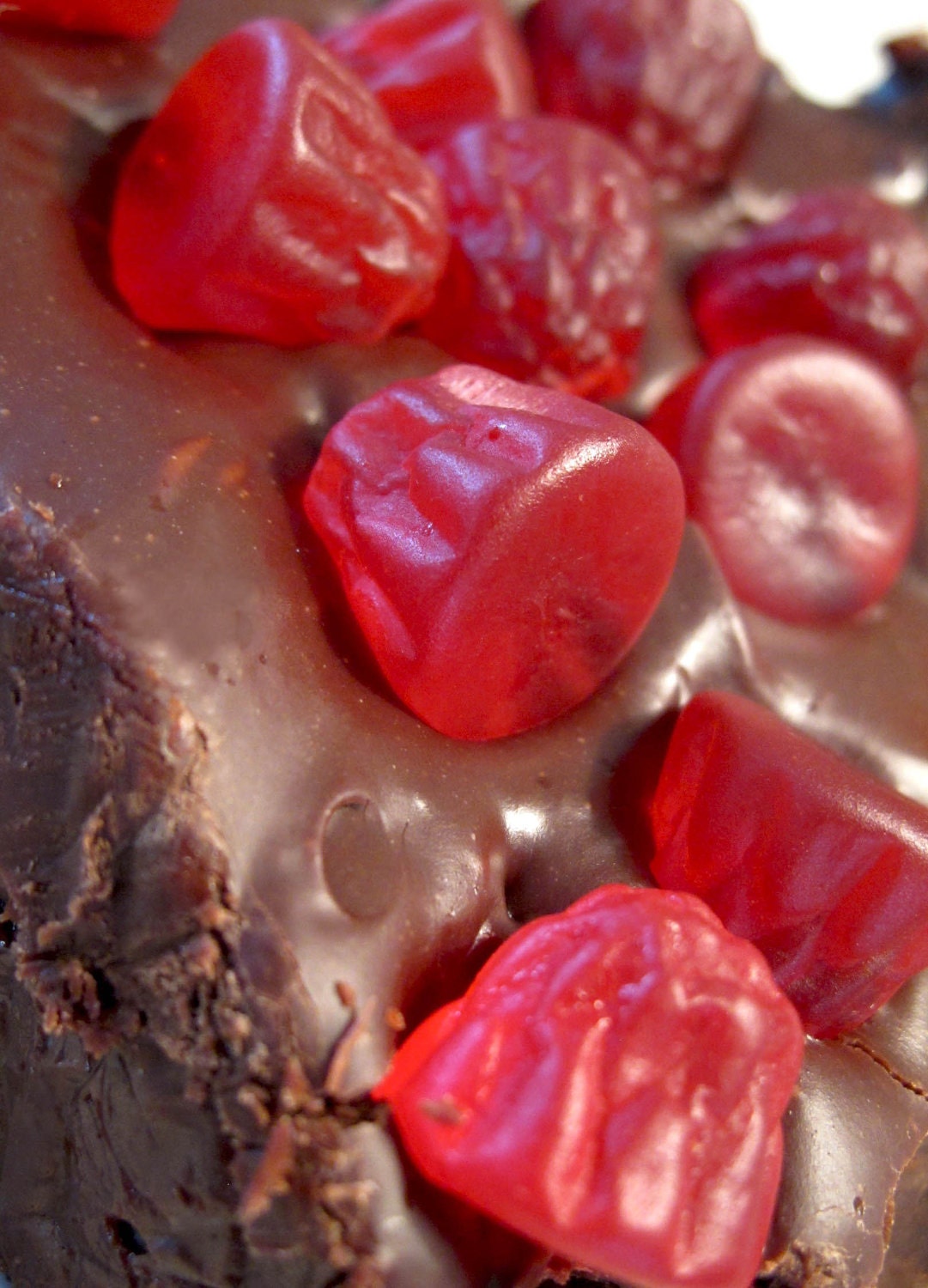 Justin Bieber's Favorite -- Swedish Berry Chocolate Fudge (1/2 lb.)