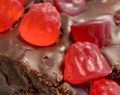 Justin Bieber's Favorite -- Swedish Berry Chocolate Fudge (1/4 lb.)