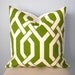 Slick Green and White Geometric Trellis Decorative Pillow Cover 20x20