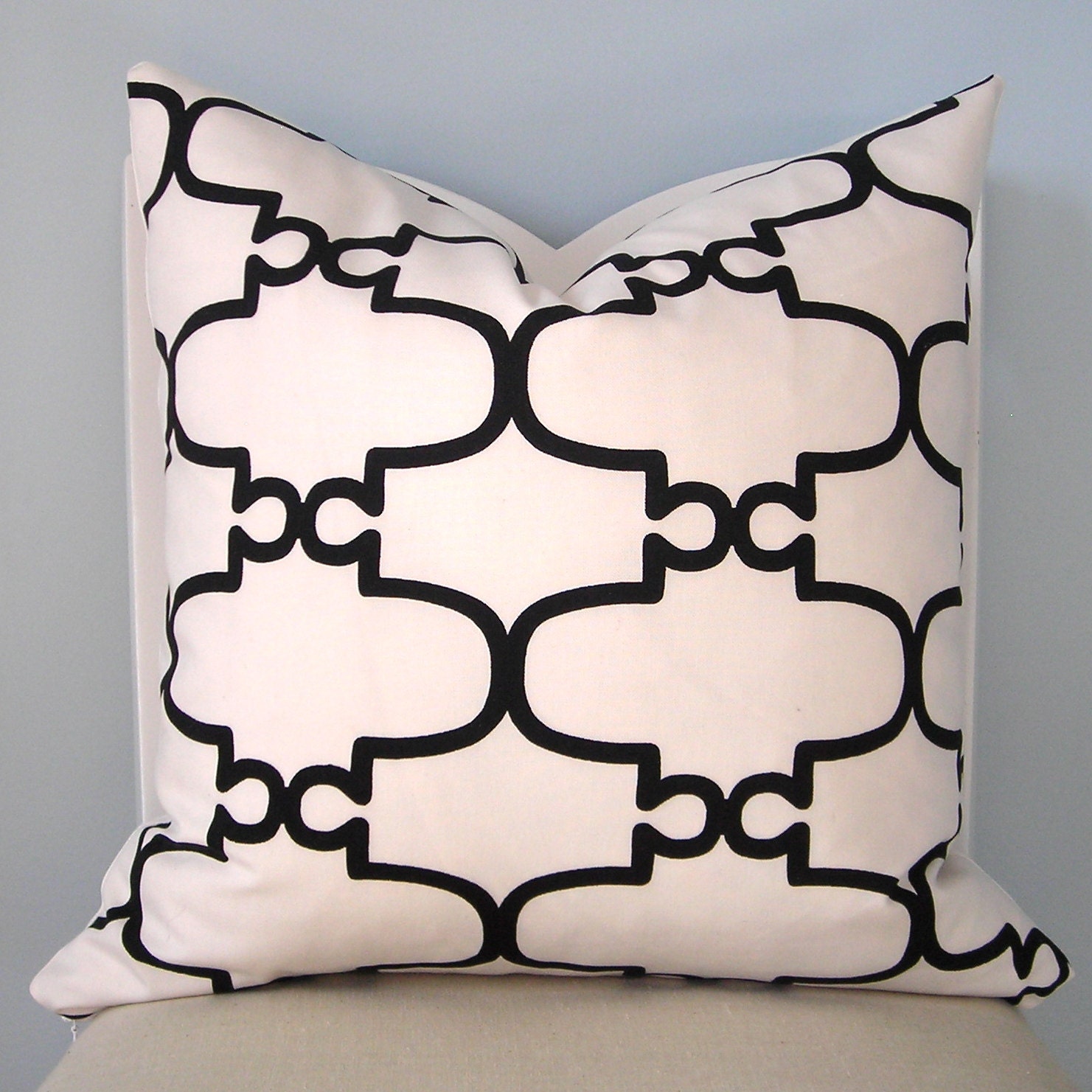 Black and White Geometric Trellis Pillow Cover 20 x 20