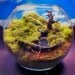 Bubble Moss Bonsai - Fantasy Terrarium