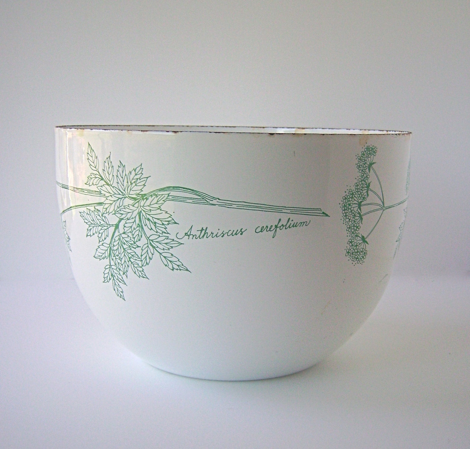 Botanical Chervil Motif Enamel Ware Deep Bowl, Chippy & Wonderful, Bright White and Leaf Green