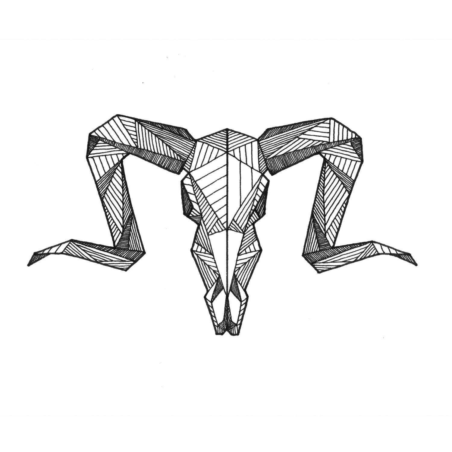 Detailed Geometric Aries Ram Head Skull Drawing - (Digital Art Print from Original Skeleton Illustration)