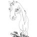 Blind Contour Horse II - Original Ink Drawing