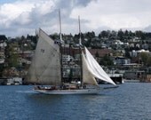 Schooner Adventuress In Seattle - Sailboat, Lake Union