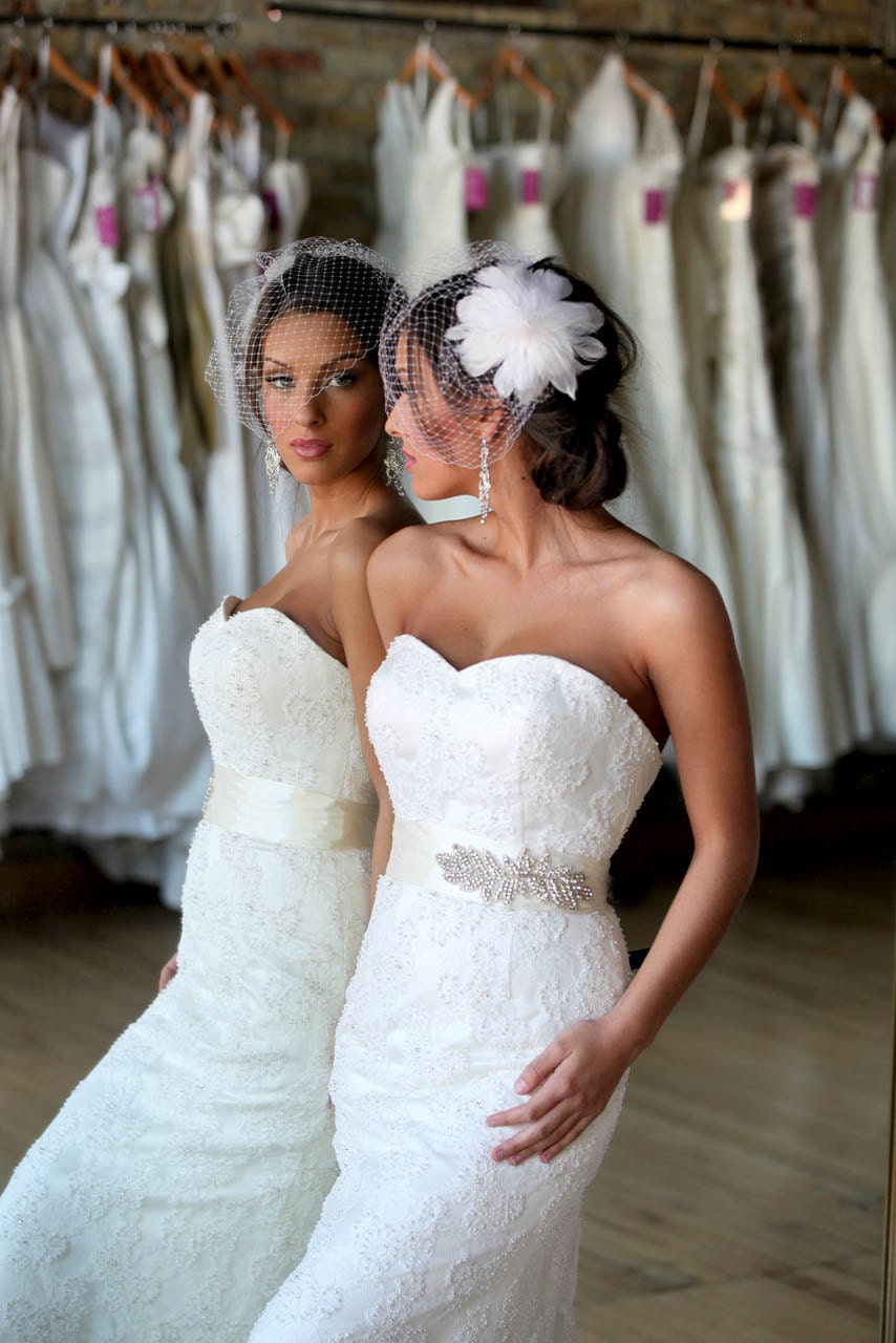 Birdcage Veil and Feather Hairpiece