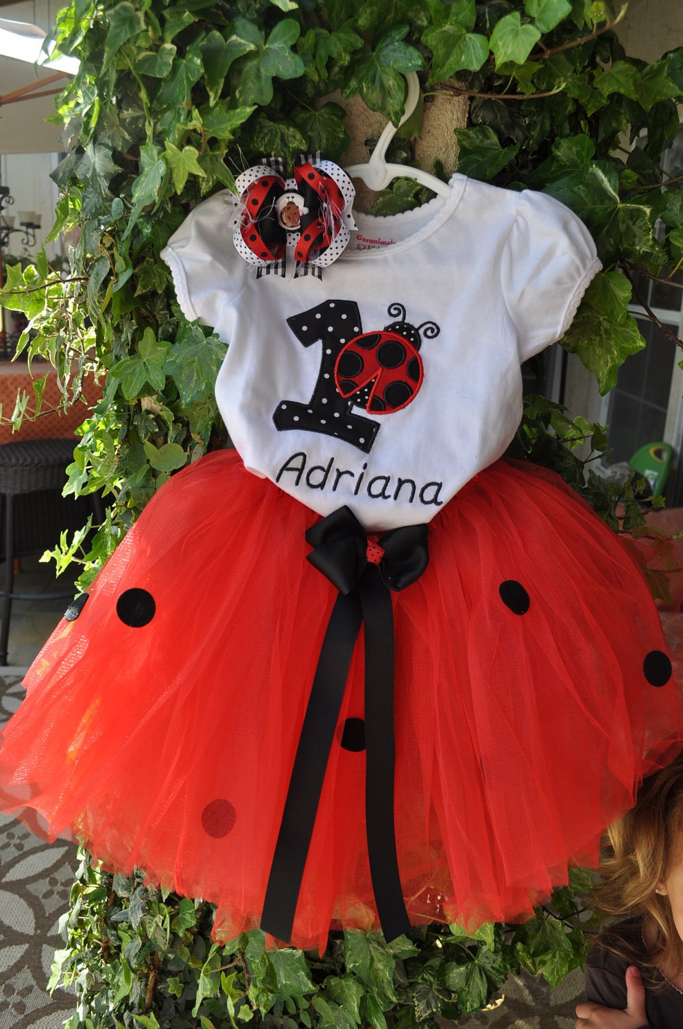 Ladybug Birthday Set