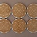 Coasters: Engraved wooden coaster set - Floral