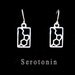 Serotonin molecular structure earrings