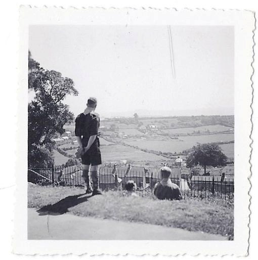 Vintage Photo: Scout looking out over the fields