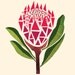 Pretty proteas cushion cover