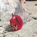 Fused glass pendant red orange