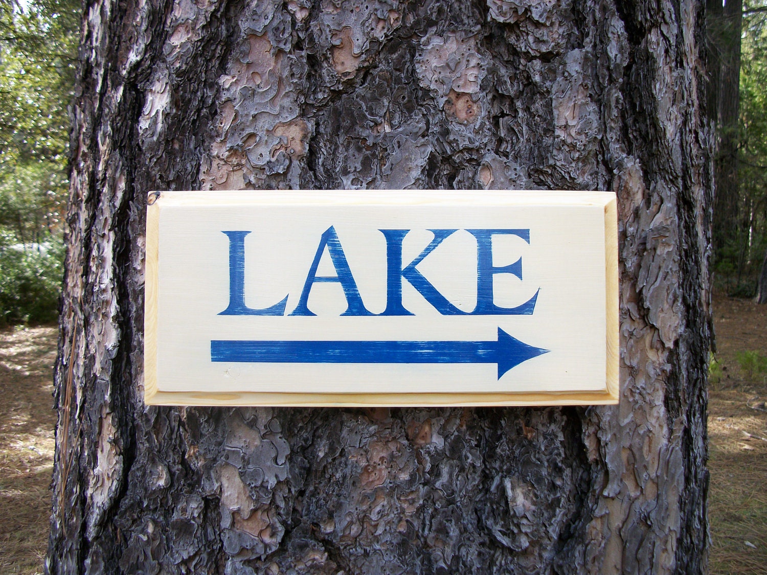 Cabin Decor Sign Lake Sign with arrow by OlySignCo on Etsy