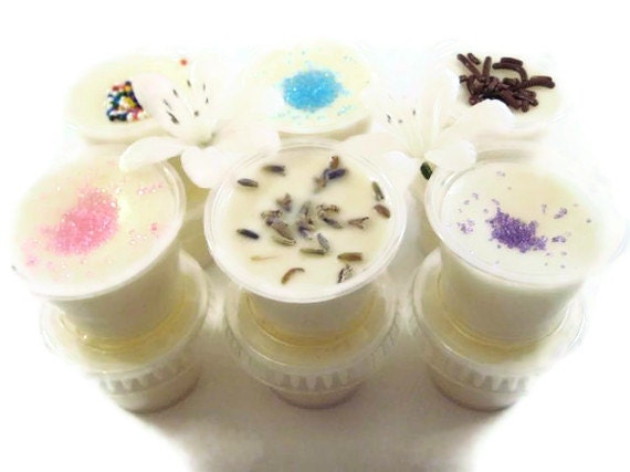 24 1 oz Soy Tart Soy Candle Tart Soy Tarts Soy Tart Melts  You Pick Fragrance