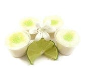 4 Lime Cooler Soy Candle Tart Melts Air Freshner Tart Cups - SerendipityCandle