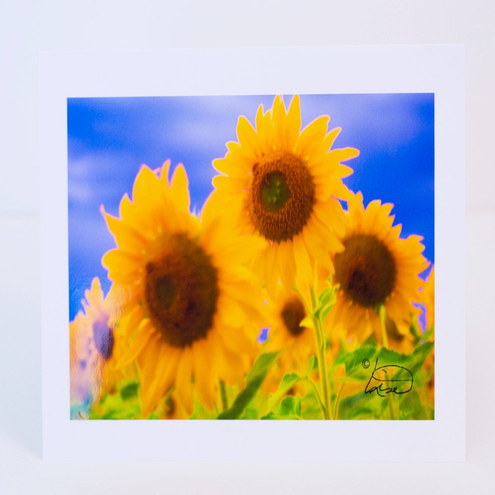 Sunflowers, Greeting Card, Photographic, Blank, Paper, Handmade, Horizontal