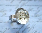 Real Flower Ring Resin Jewelry Queen Anne's Lace White Pearly silver Elegant Transparent Vintage Spring Ice