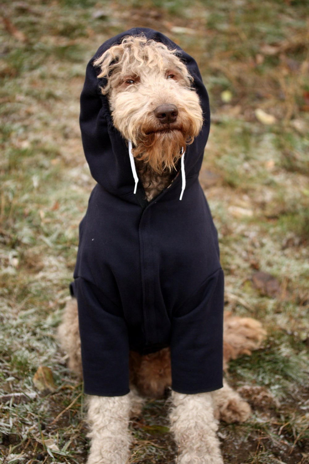 Big Dog Navy Blue Hoodie