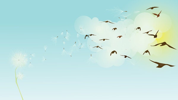 Evolution of Nature - Limited Edition Print