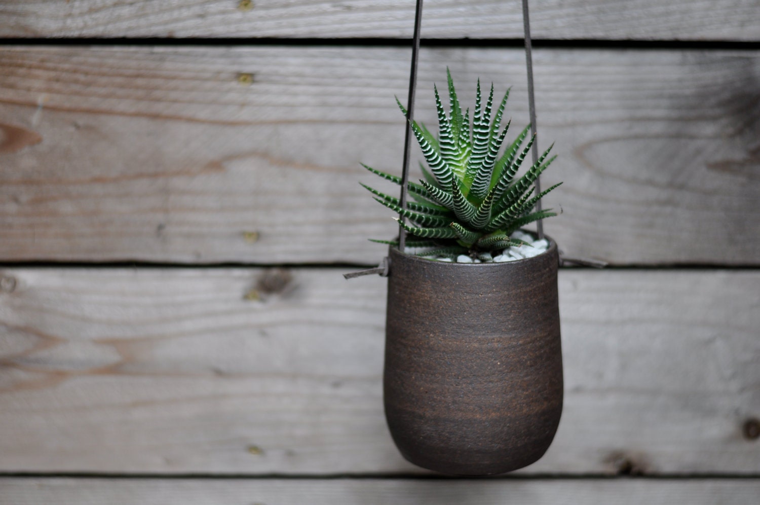 Modern Simple Dark Brown Hanging Planter - Large