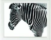 Zebra 8x10 inch (20x25cm) Black and White Striped Print
