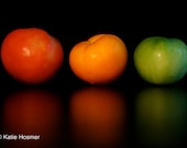 Red, Yellow, & Green Tomatoes - 5x7 Matted Photograph