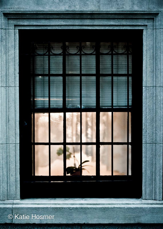 City Window with Flower - 5x7 Matted Photograph
