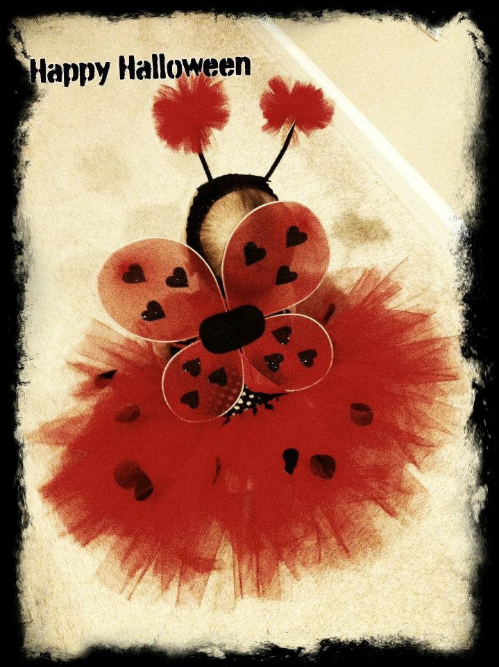 Lady Bug Costume, Birthday outfit, Halloween Costume, ladybug